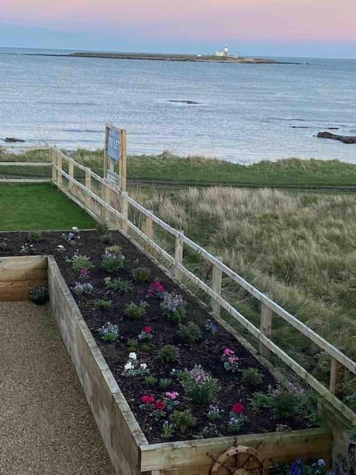 Signal House - A Stunning Beach House - 2020 Build Amble Eksteriør bilde
